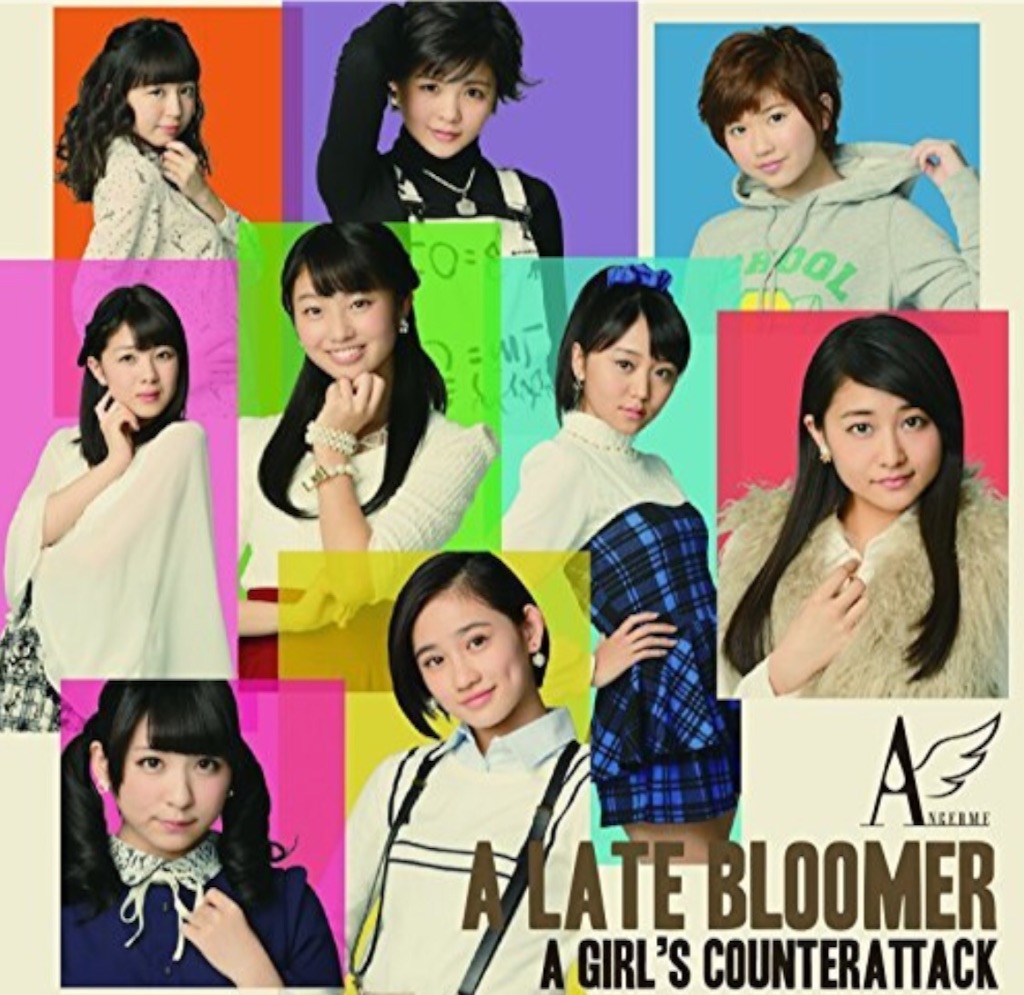 f:id:angerme2843:20161106184734j:image f:id:angerme2843:20161106184734j:image