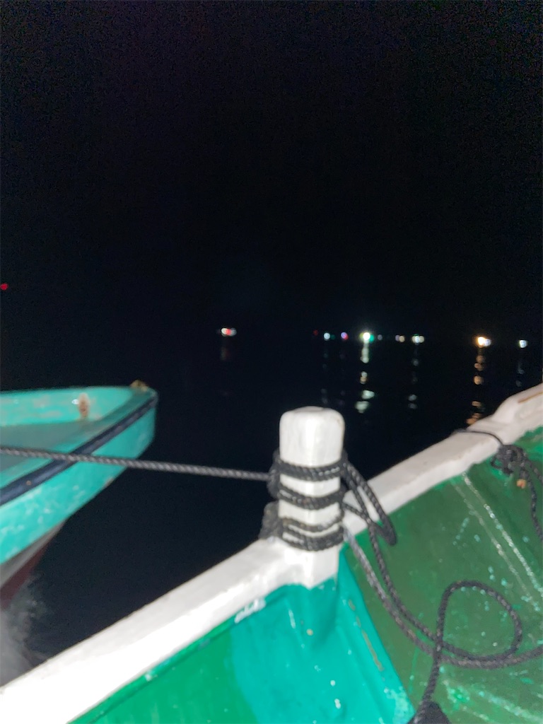 f:id:angler_satoimo:20210208060909j:image