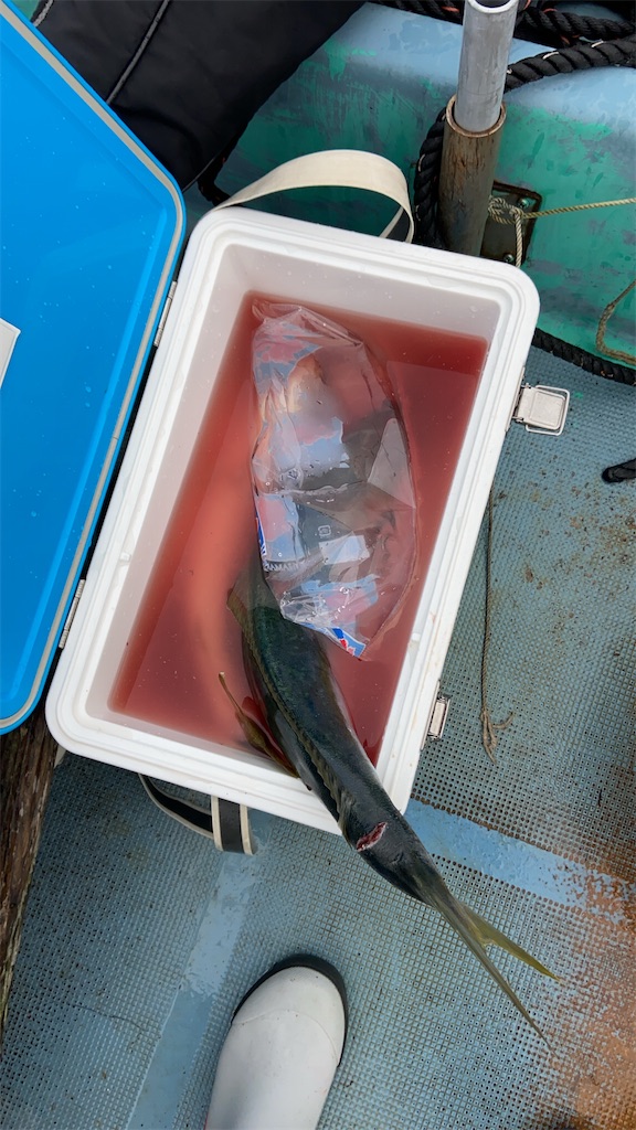 f:id:angler_satoimo:20210208063030j:image