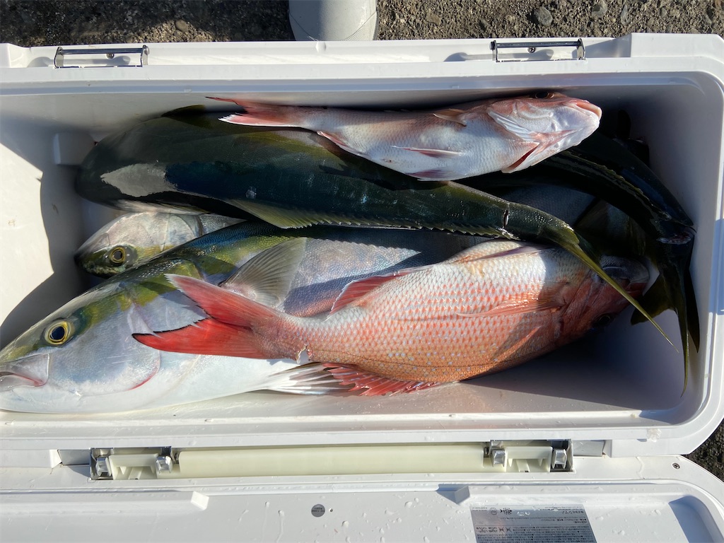 f:id:angler_satoimo:20210208064923j:image