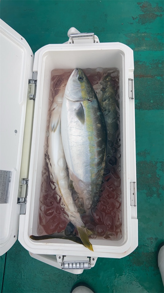 f:id:angler_satoimo:20210215062505j:image