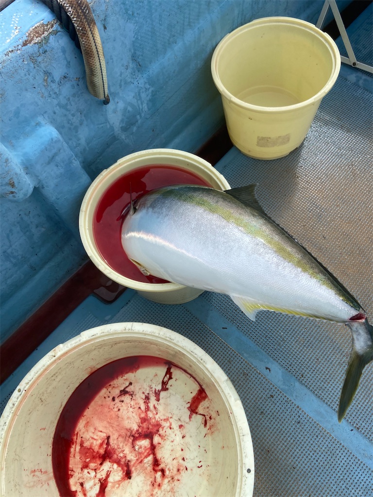 f:id:angler_satoimo:20210308061616j:image