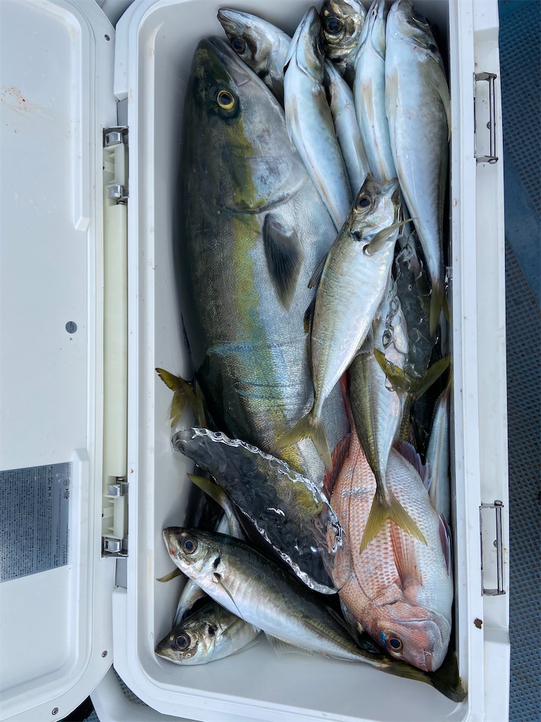 f:id:angler_satoimo:20210308062423j:image