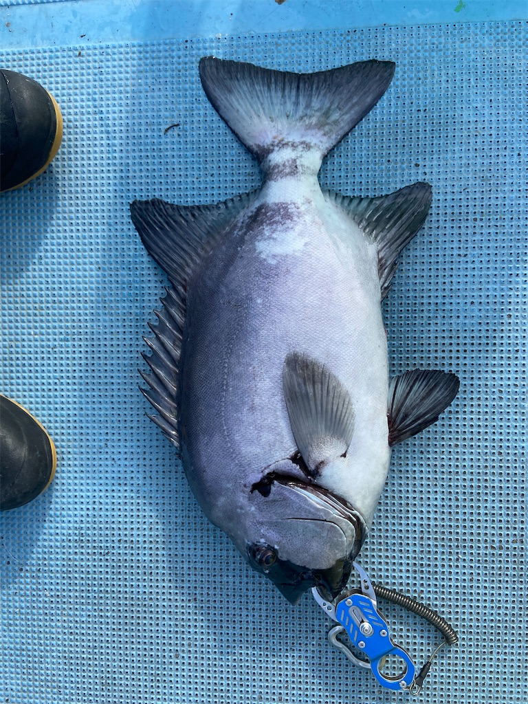 f:id:angler_satoimo:20210322061920j:image