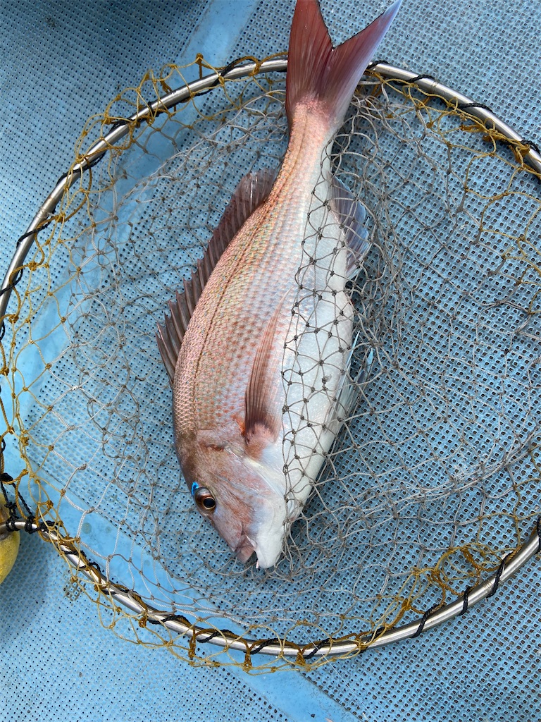 f:id:angler_satoimo:20210322062803j:image