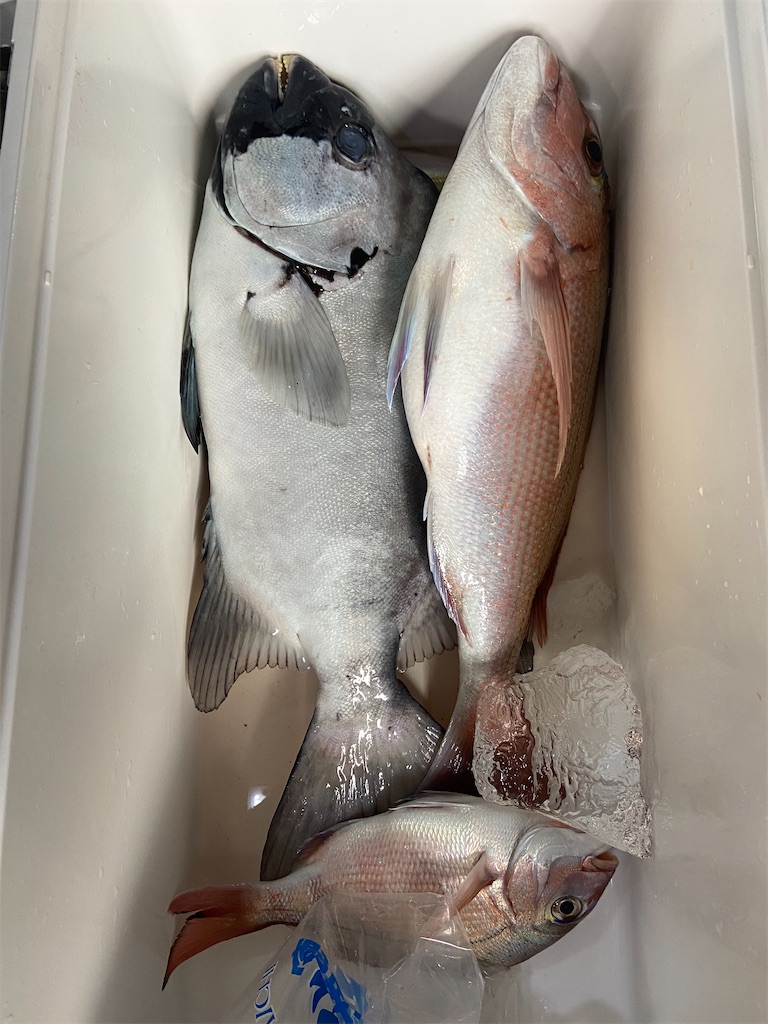 f:id:angler_satoimo:20210322063654j:image
