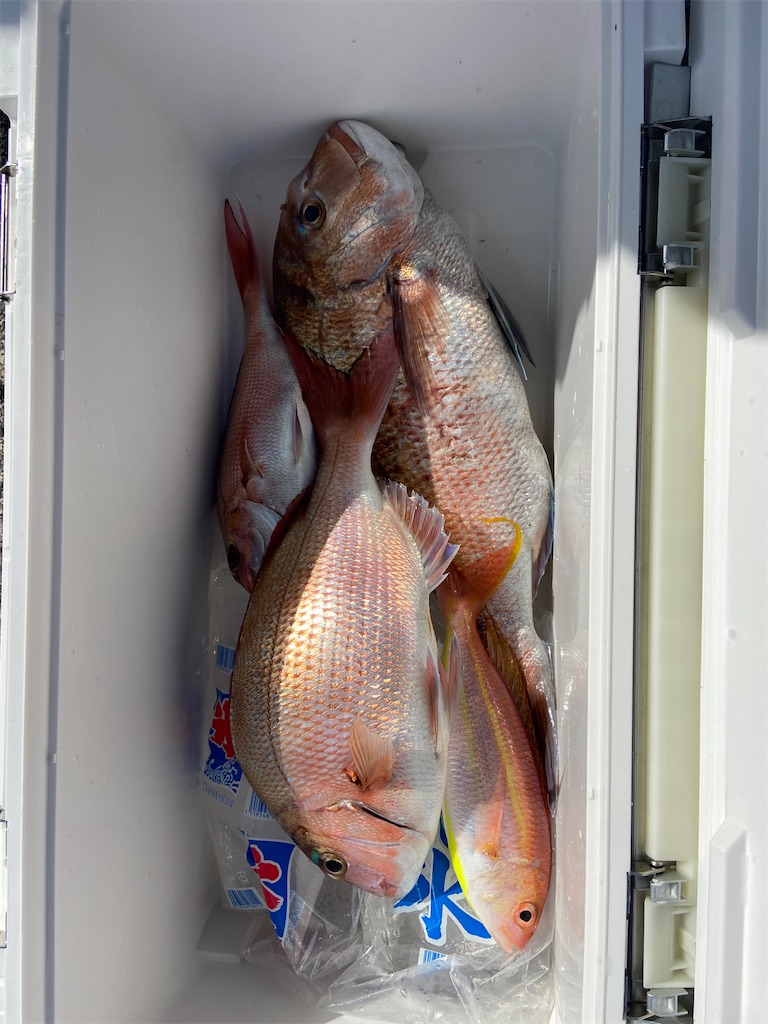 f:id:angler_satoimo:20210426201015j:image