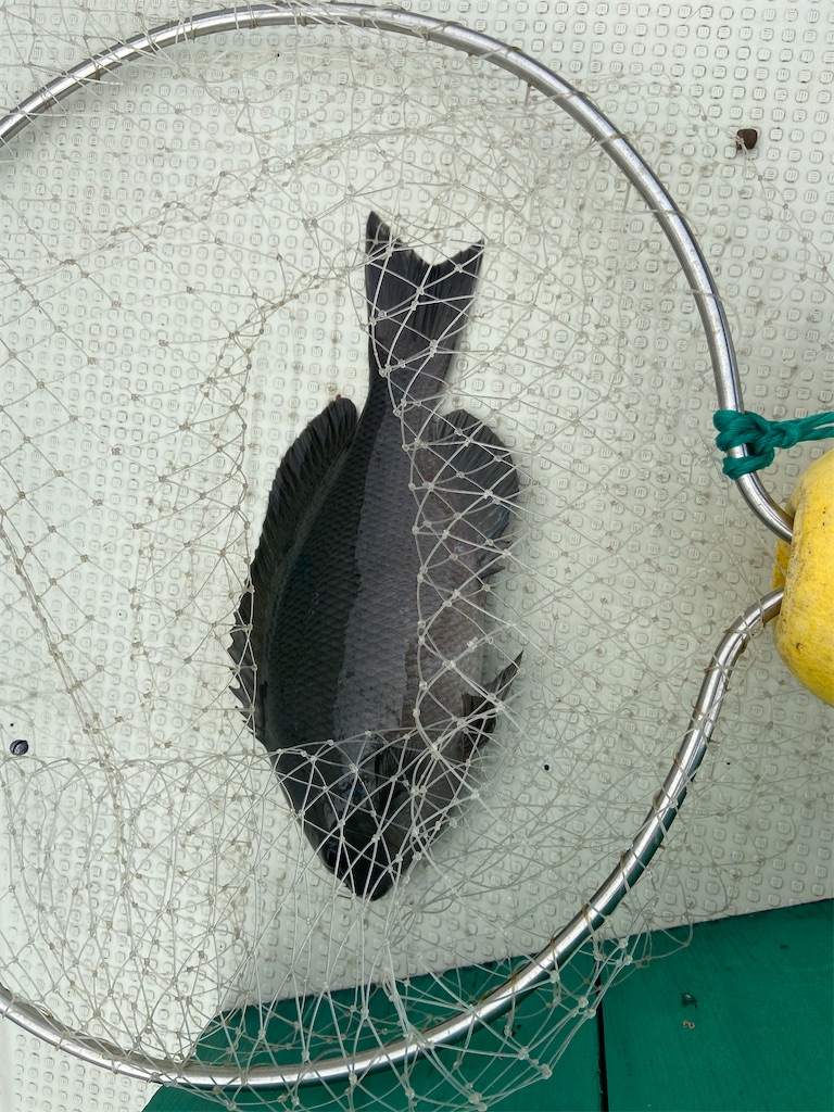 f:id:angler_satoimo:20210517062317j:image