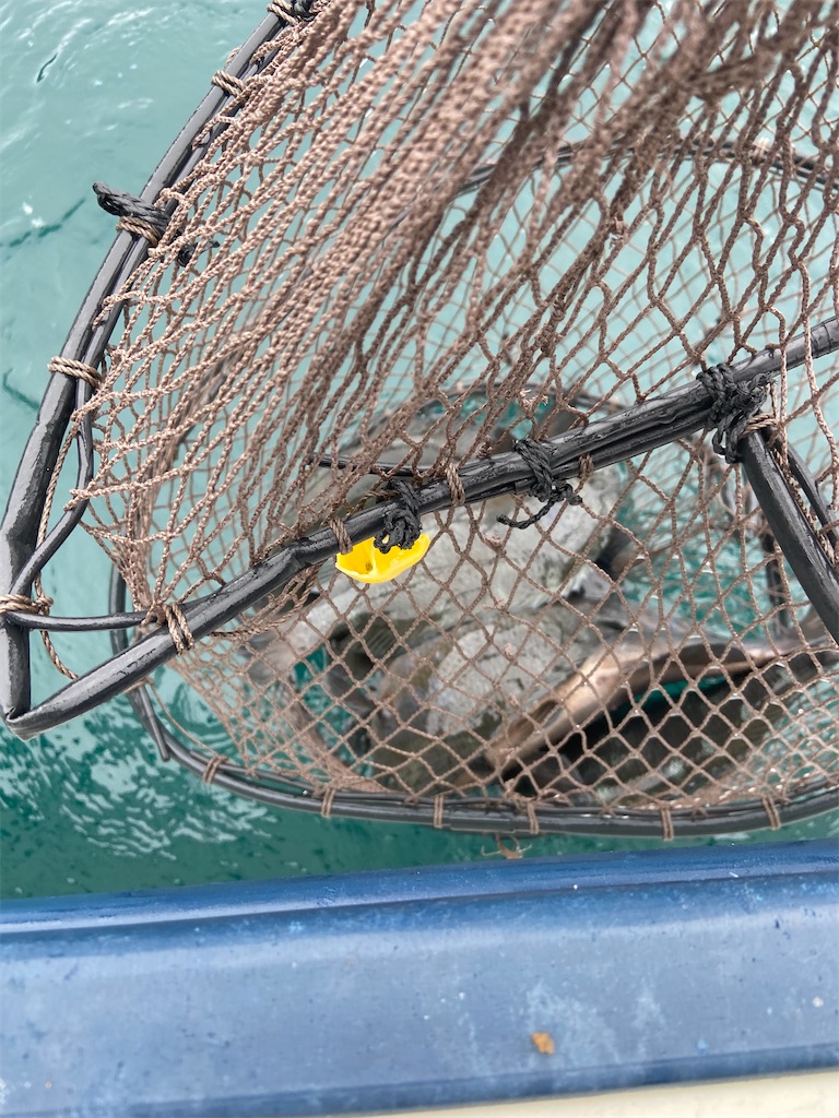 f:id:angler_satoimo:20210517063451j:image