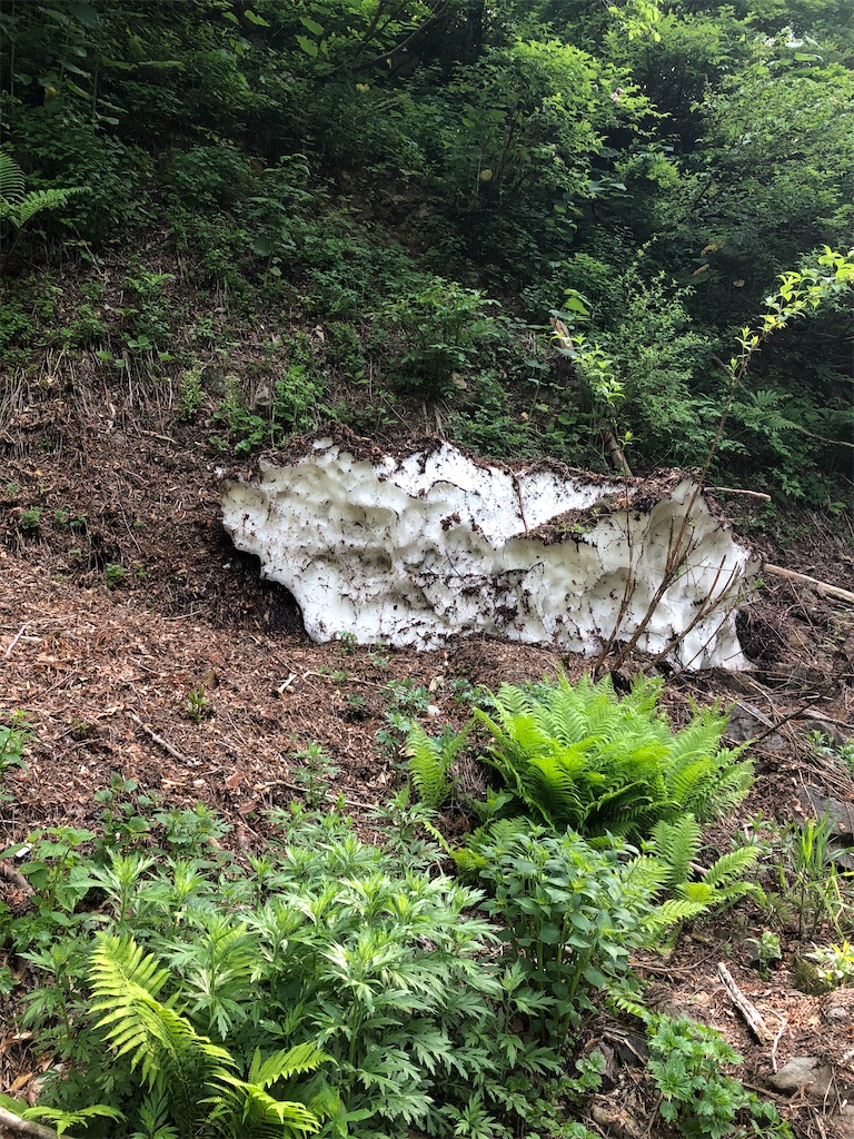 f:id:angler_shun3:20210613203837j:image