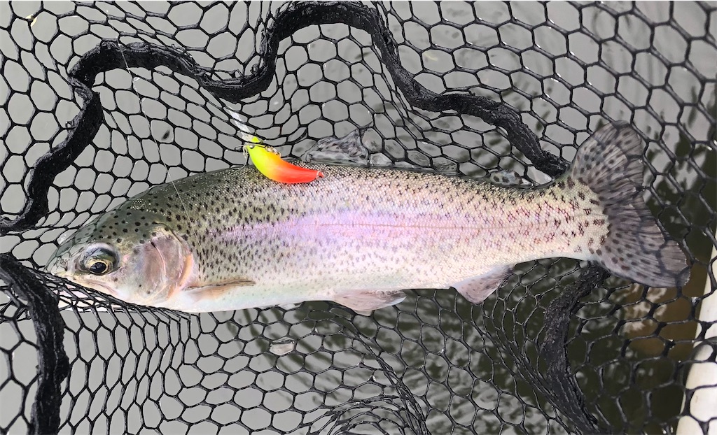 f:id:angler_shun3:20210619204852j:image f:id:angler_shun3:20210619204852j:image