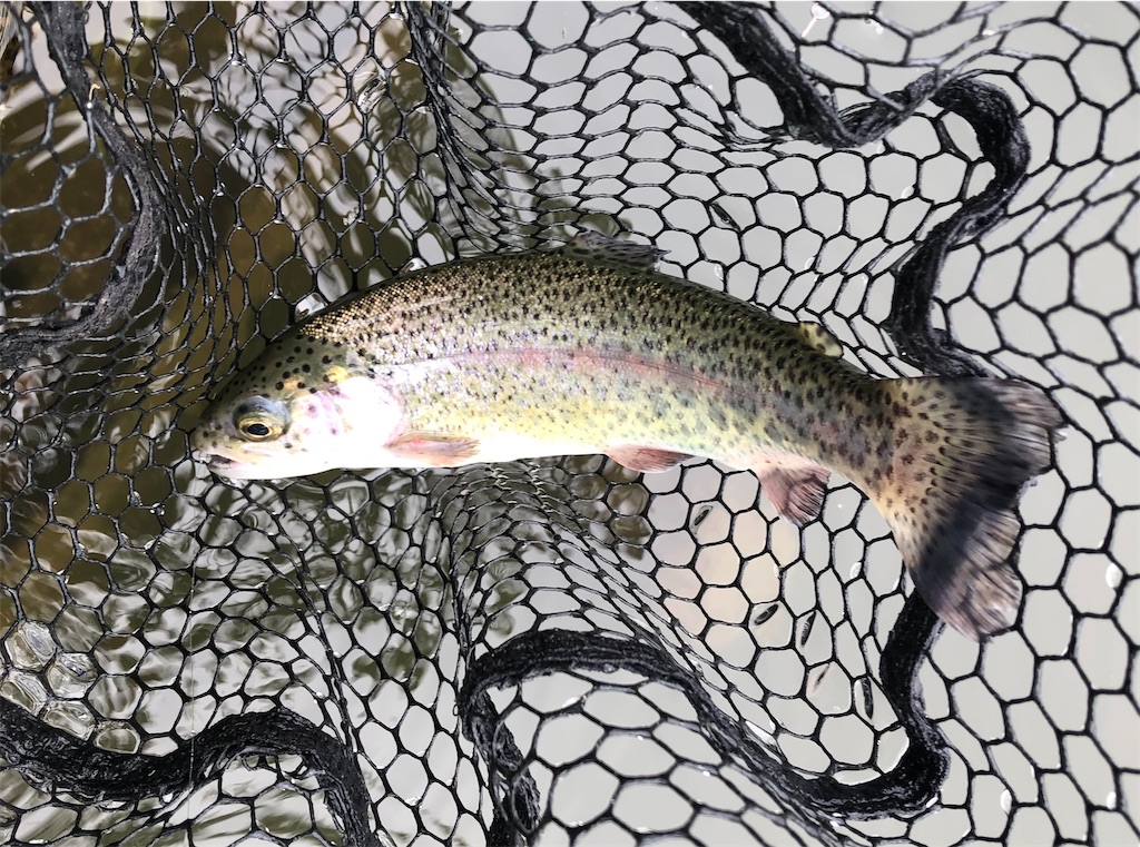 f:id:angler_shun3:20210816194701j:image f:id:angler_shun3:20210816194701j:image
