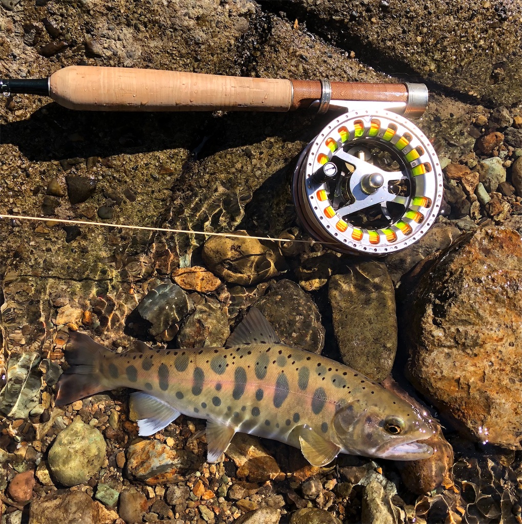 f:id:angler_shun3:20210920143546j:image