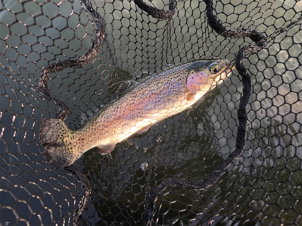 f:id:angler_shun3:20211011225048j:image f:id:angler_shun3:20211011225048j:image