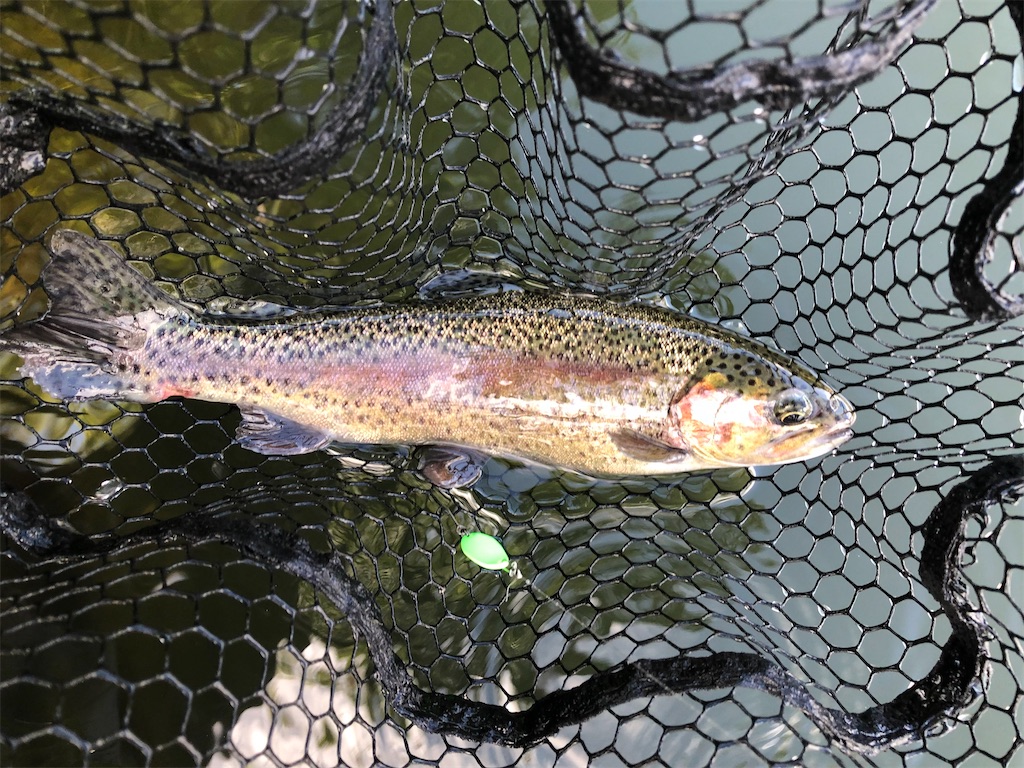 f:id:angler_shun3:20211011225109j:image f:id:angler_shun3:20211011225109j:image