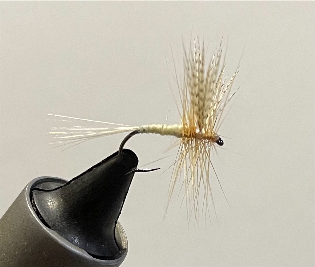 f:id:angler_shun3:20211121200510j:image f:id:angler_shun3:20211121200510j:image