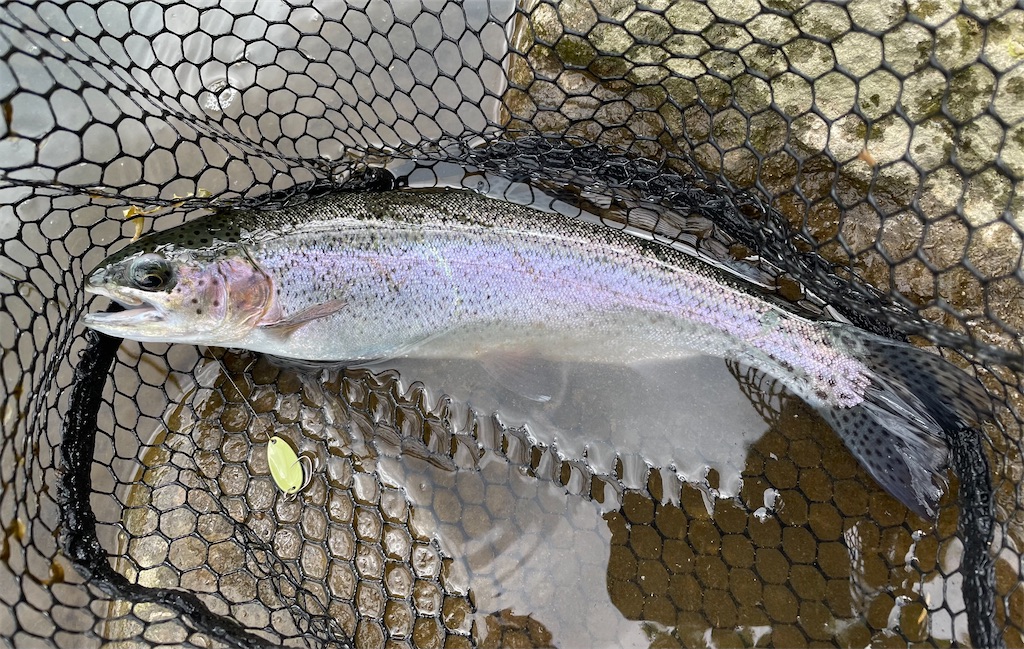 f:id:angler_shun3:20220528200347j:image