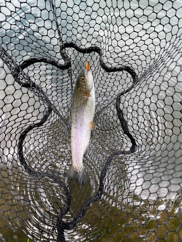 f:id:angler_shun3:20220528204622j:image