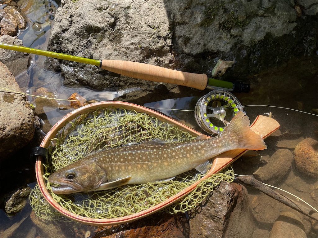 f:id:angler_shun3:20220724182811j:image f:id:angler_shun3:20220724182811j:image