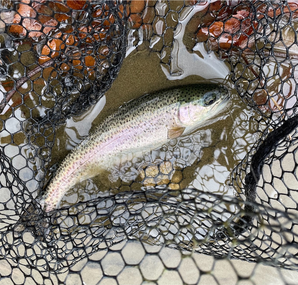 f:id:angler_shun3:20221204195741j:image f:id:angler_shun3:20221204195741j:image