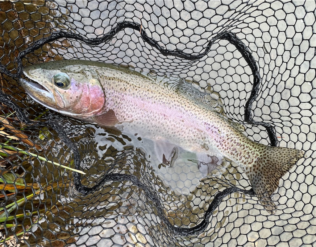 f:id:angler_shun3:20221204195847j:image f:id:angler_shun3:20221204195847j:image