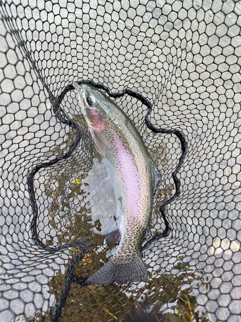 f:id:angler_shun3:20221204195901j:image f:id:angler_shun3:20221204195901j:image