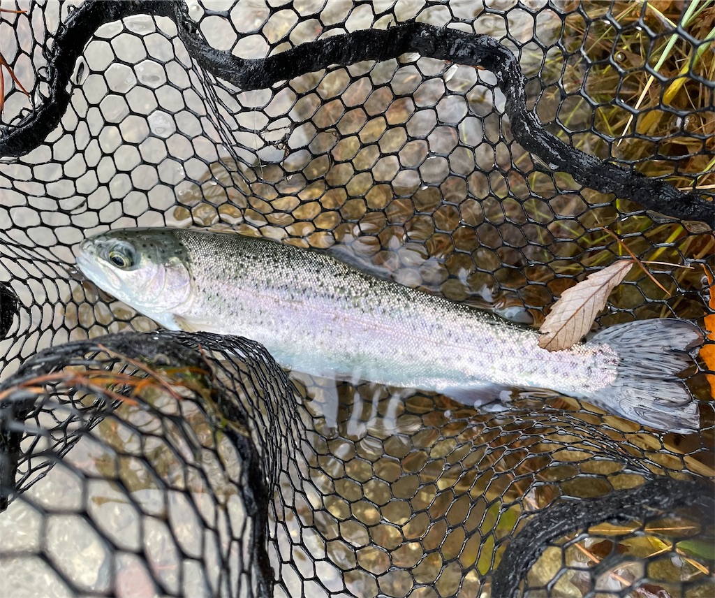 f:id:angler_shun3:20221204195913j:image f:id:angler_shun3:20221204195913j:image
