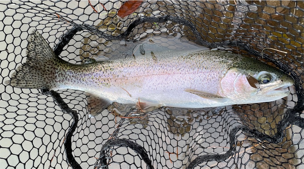 f:id:angler_shun3:20221204195923j:image f:id:angler_shun3:20221204195923j:image