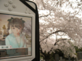 20110420074604