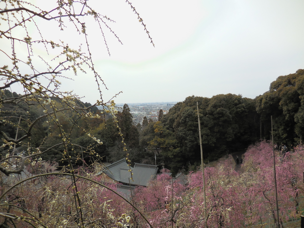 f:id:anheike:20170326224802j:plain f:id:anheike:20170326224802j:plain