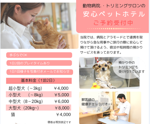 f:id:anifa-ohana:20180717141949p:plain f:id:anifa-ohana:20180717141949p:plain