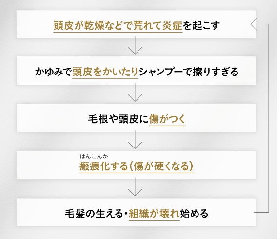 円形脱毛症の原因は解明されていない