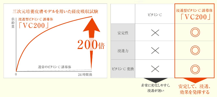 VCスターターセットのVC200配合