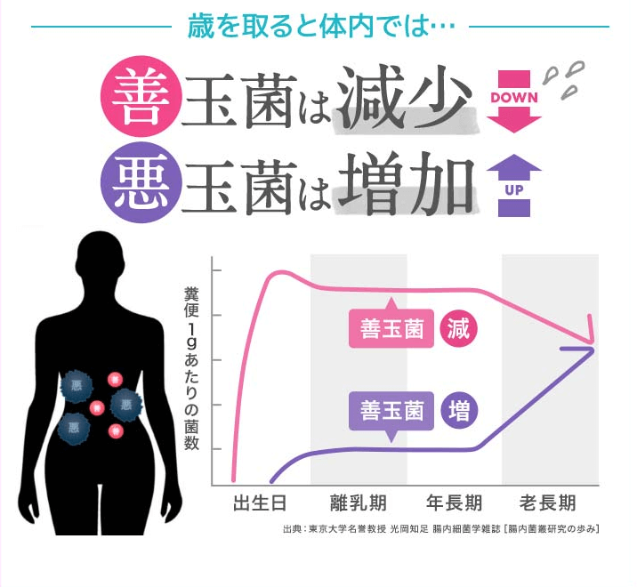 ラクサンは腸内フローラを整える