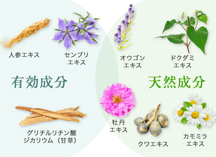 プリミストは植物由来