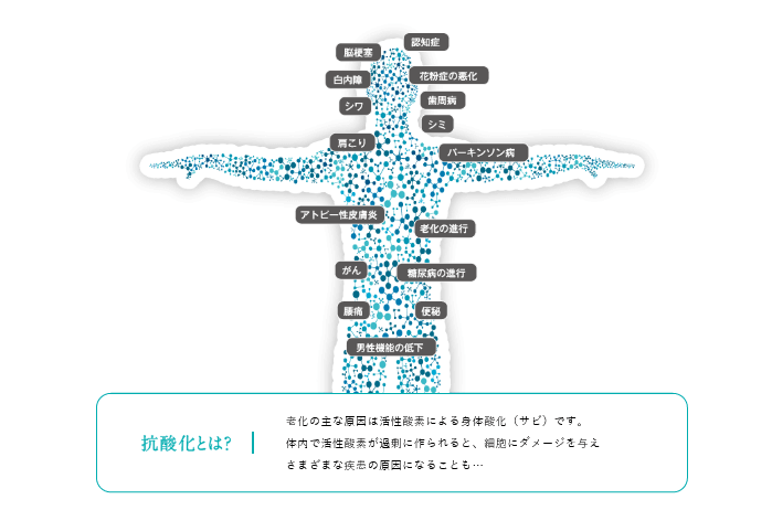 活性酸素が身体のサビをつくる