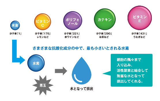 リナシリカHは抗酸化の万能選手