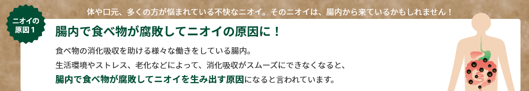 ニオイの原因①