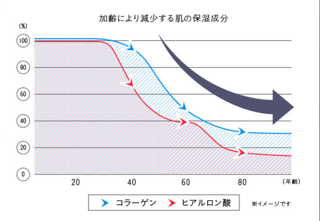 年齢とともに低下する保湿成分