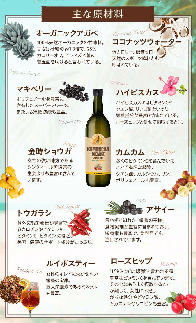 コンブチャクレンズはスーパーフードの宝庫