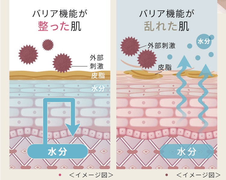 ミコモイがお肌のバリア機能を整える