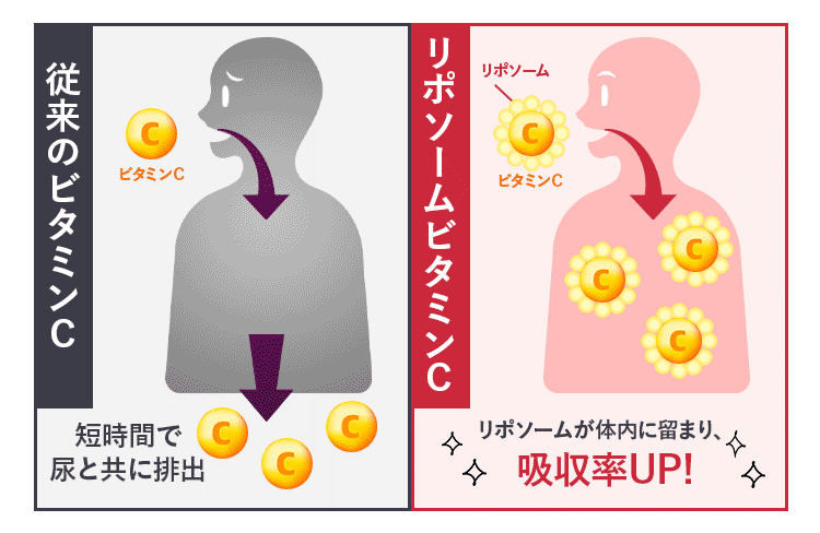 17skinビタミンCはリポソームビタミンC