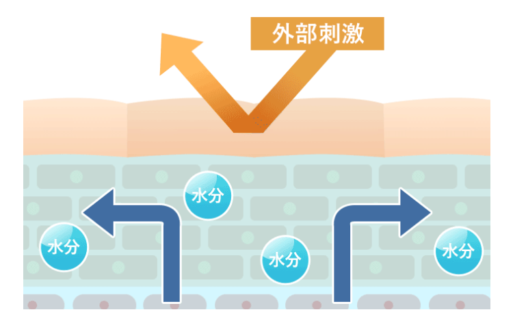 17skinビタミンCはグルコシルセラミド配合
