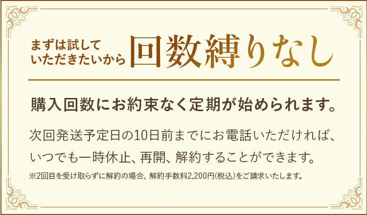 17skinビタミンC公式サイトは回数縛りなし