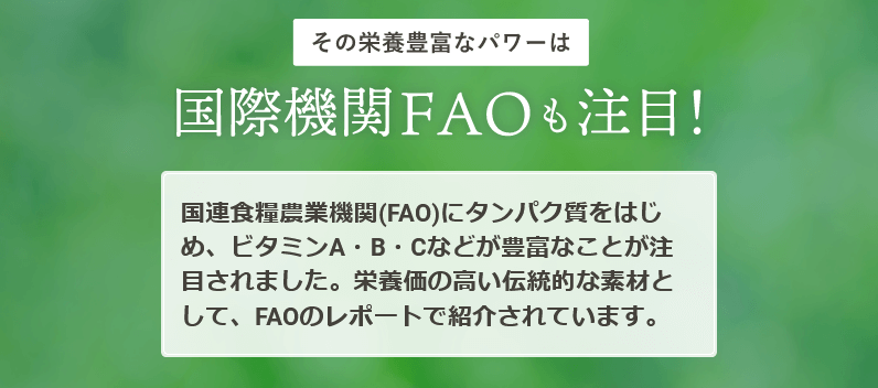 大地をぎゅぎゅっとモリンガ青汁はFAOも注目