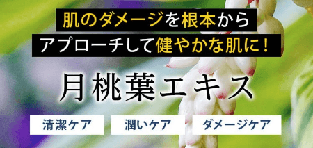 イッキスキンケアセットには月桃葉エキス配合