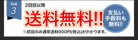 イッキスキンケアセットは公式サイトがお得③