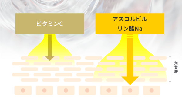 SWブライトニングセラムC＋はすぐに浸透