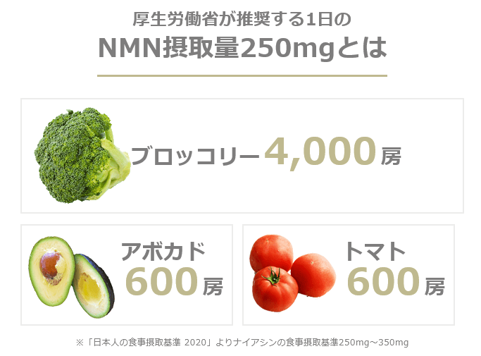 NMN摂取量250㎎の目安