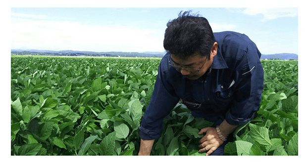 飲む粉野菜は農薬不使用